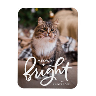 Ímã Foto de gato brilhante e brilhante