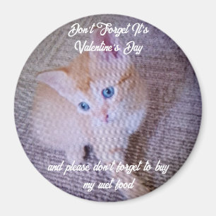 Imã Foto de gato no Dia dos Namorados Humor Texto Sorr