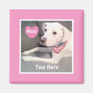 Imã Foto de Labrador Branco e Bonito Mix Cachorro Rosa