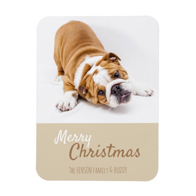 Ímã Foto de Natal para Bulldog Inglês (Vertical)
