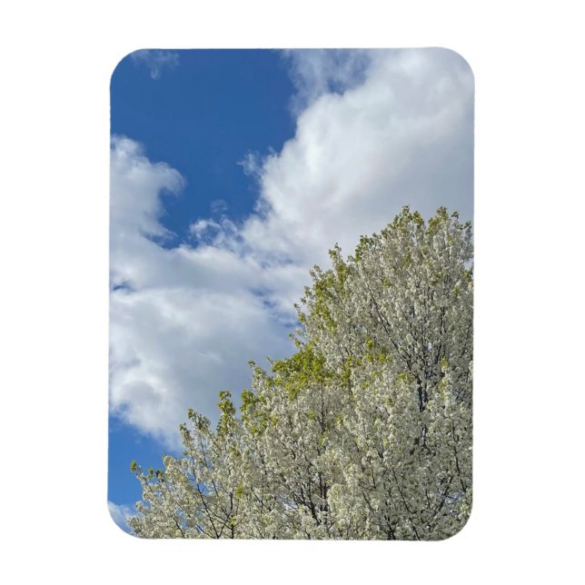Ímã Foto de Nuvens Céu Azul Árvore Branca (Vertical)