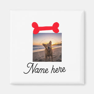 Imã Foto de osso de cachorro vermelho presentes simple