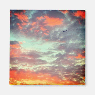 Imã Foto de Pássaro Voando nas Nuvens