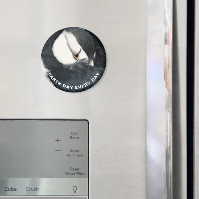 Imã Foto de Puffin Chorado no Dia da Terra (In Situ (Fridge))