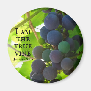 Imã Foto do Evangelho de Uvas Roxas de John Bíblia Ver