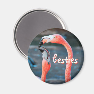 Imã Foto do flamingo duo, cor-de-rosa-laranja negrito,