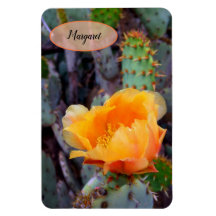 Foto do Flor do Opuntia Pera Laranja