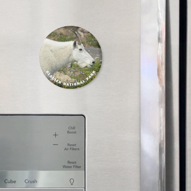 Imã Foto do Glacier National Park Mountain Goat (In Situ (Fridge))