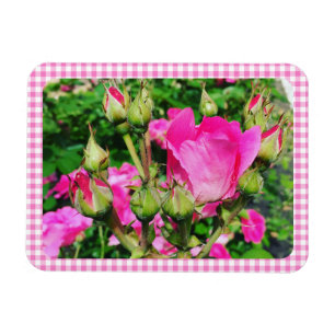 Ímã Foto do Jardim de Rosas com Xadrez Gingham Rosa