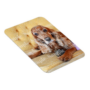 Ímã Foto do memorial Pet PERSONALIZE