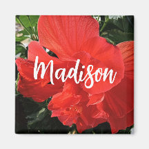 Foto do nome personalizado Orange Double Hibiscus