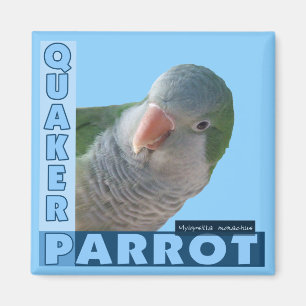 Imã Foto do Parakeet do quacre