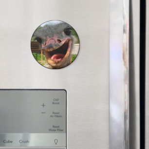 Imã Foto do Pássaro de Ostrich Engraçado O que se Pass