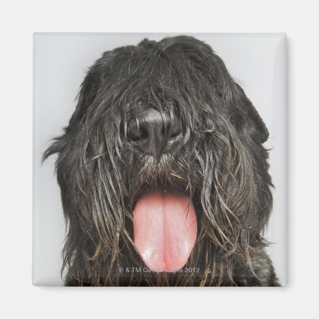 Imã Foto do Studio (Frente)