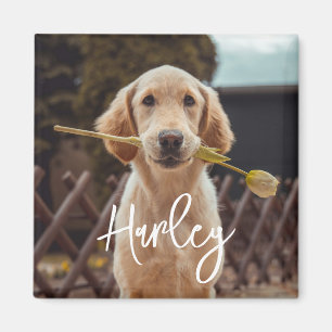 Imã Foto e Texto Personalizados