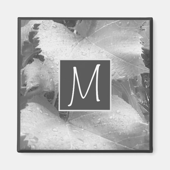 Imã Foto em preto e branco de fita deixa Cinza inicial (Frente)