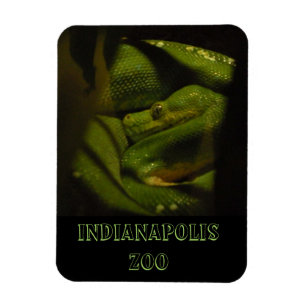 Ímã Foto esmeralda do jardim zoológico de Indy da boa