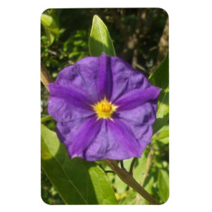 Ímã Foto flexível - Magnet, roxo eco