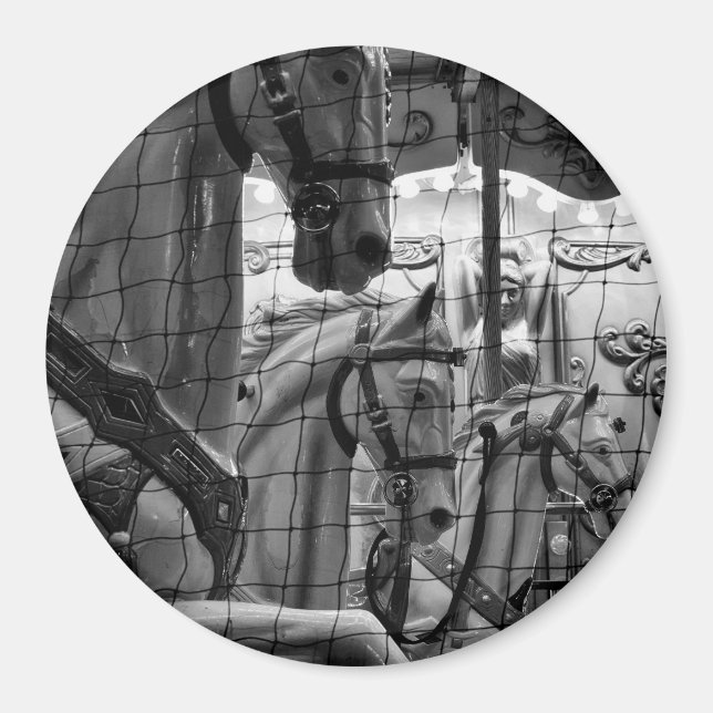 Imã Foto legal, urbana e moderna de cavalos de carross (Frente)