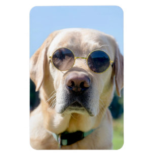 Ímã Foto personalizada