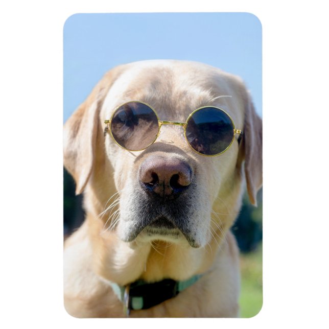 Ímã Foto personalizada (Vertical)