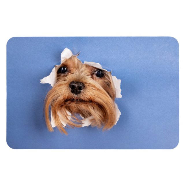 Ímã Foto Personalizada (Horizontal)