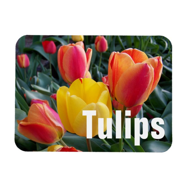 Ímã Foto personalizada (Horizontal)