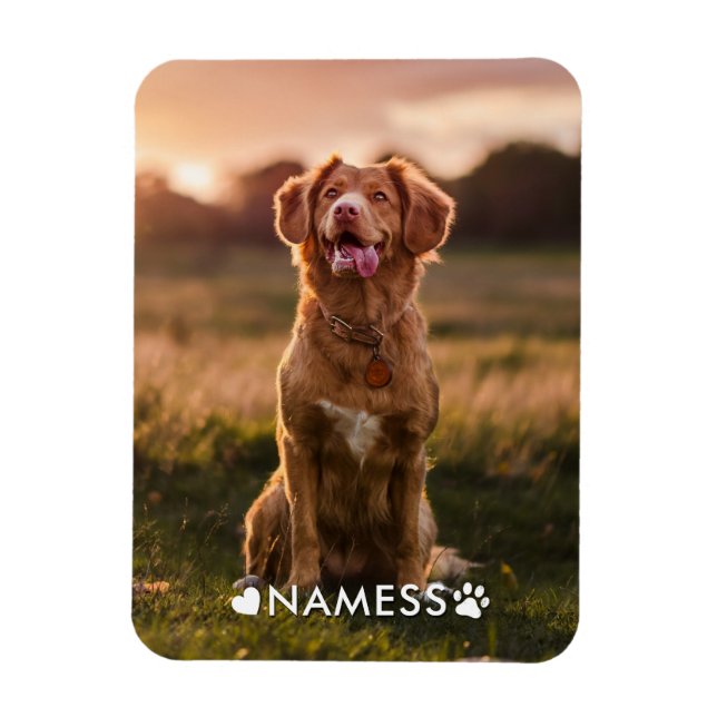 Ímã Foto Personalizada Com O Nome Do Seu Cachorro (Vertical)