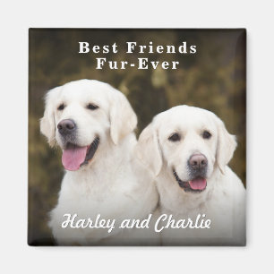 Imã Foto Personalizada de Dois Animais de Estimação Me