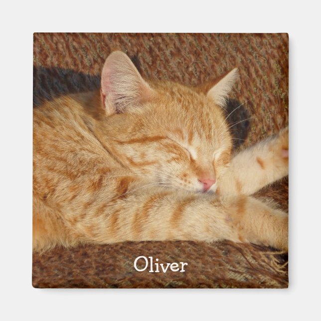 Imã Foto personalizada de estimação (Frente)