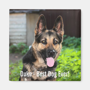 Imã Foto personalizada do cão de german shepherd, nom