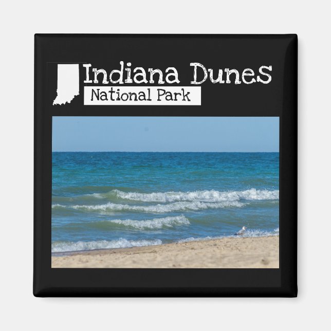 Imã Foto Personalizada - Indiana Dunes National Park (Frente)