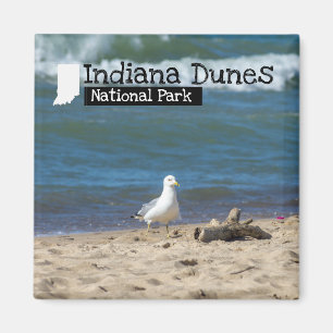 Imã Foto Personalizada - Indiana Dunes National Park