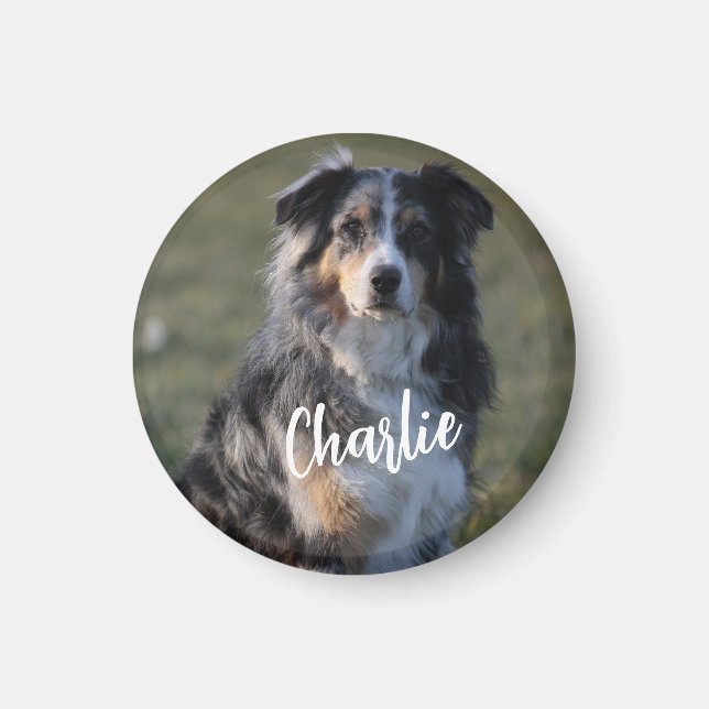 Imã Foto personalizada personalizada de cão de estimaç (Frente)