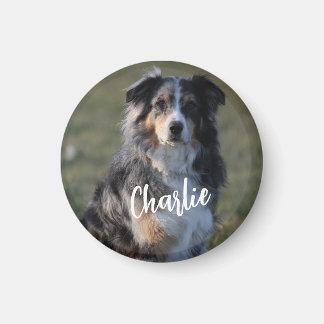 Imã Foto personalizada personalizada de cão de estimaç