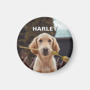 Imã Foto Personalizada Personalizada E Texto