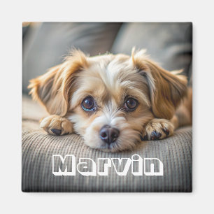 Imã Foto personalizada simples e russa moderna