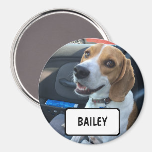Imã Foto Pet Personalizada