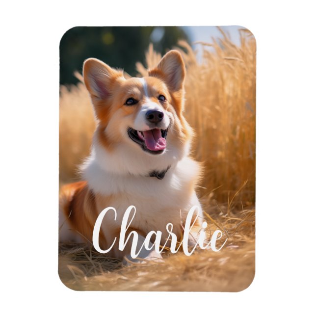 Ímã Foto Pet Personalizada com Nome (Vertical)