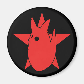 IMÃ FOTOCOYOTE MAGNET
