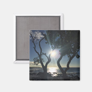Imã Fotografia Colorida de Árvores Iluminadas pelo Sol