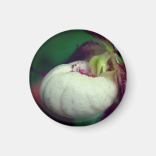 Imã Fotografia da Flor de Sapatinho de Dama Branca