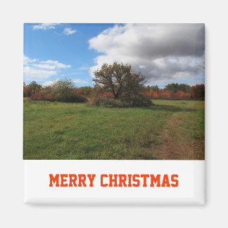 Imã Fotografia da paisagem pacífica do país Natal