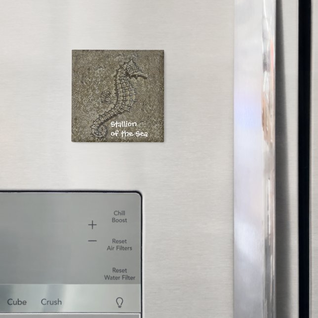 Imã Fotografia de Cavalo-do-Mar Molhado (In Situ (Fridge))