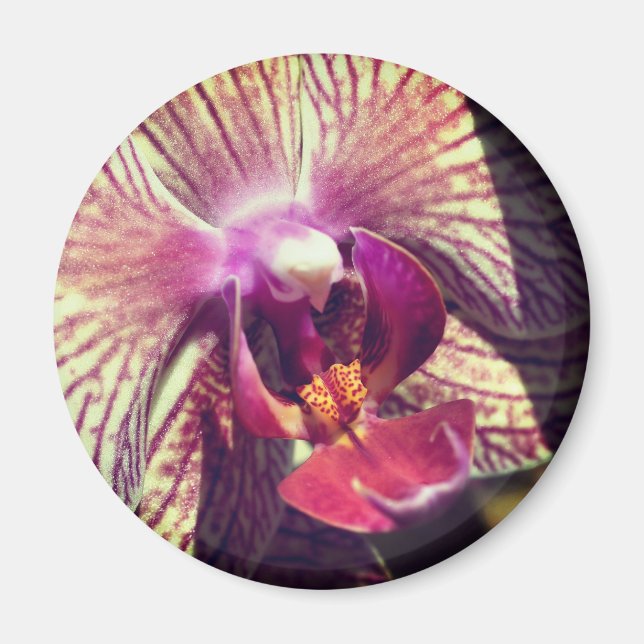 Imã Fotografia de Cima da Flor de Orquídea (Frente)