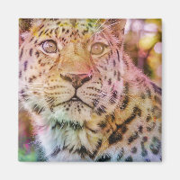 Fotografia de Fechamento do Leopardo