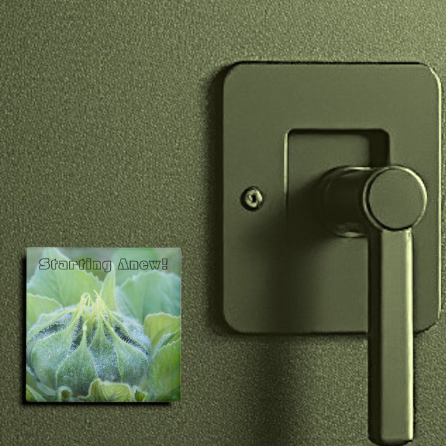 Imã Fotografia de Fecho de Girassol Humedecido (2" square magnet)