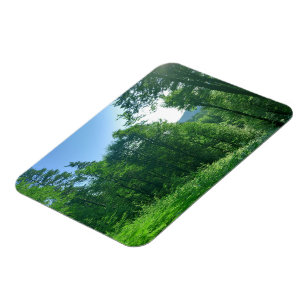 Ímã Fotografia de Paisagem Verde