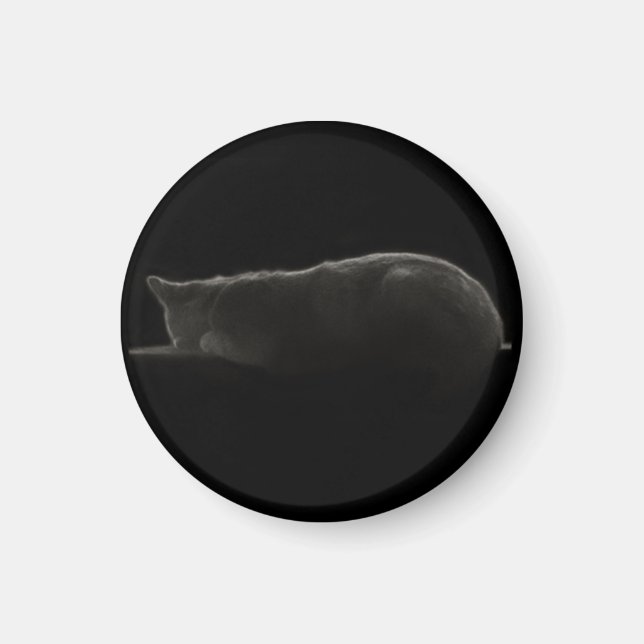 Imã Fotografia de silhueta de gato dormindo (Frente)