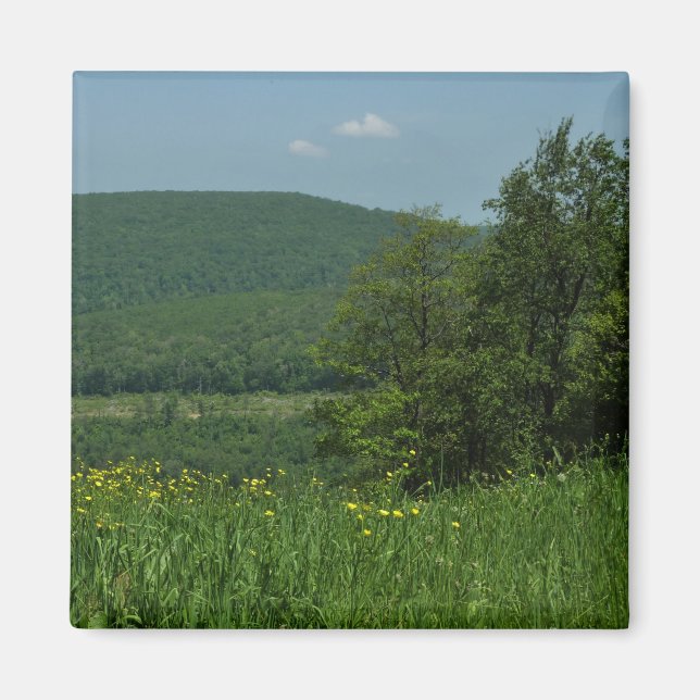 Imã Fotografia de Verão de Laurel Highlands Pensilvâni (Frente)